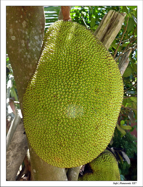 2012 - 03 - Koh Lanta 27